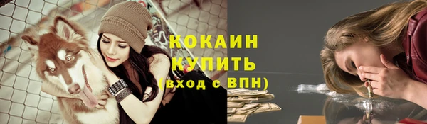 крисы Алексеевка